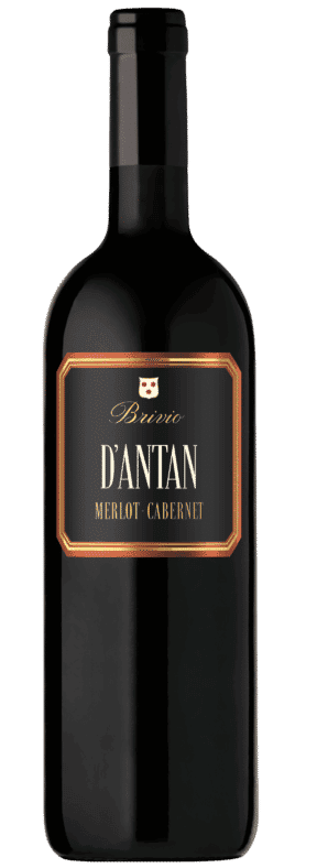 Vigna d'Antan - Ticino DOC - 2018 - Brivio